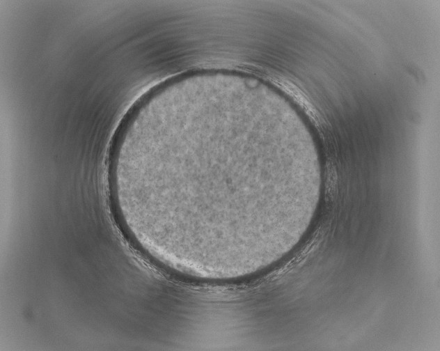 X0000114670976200912021050