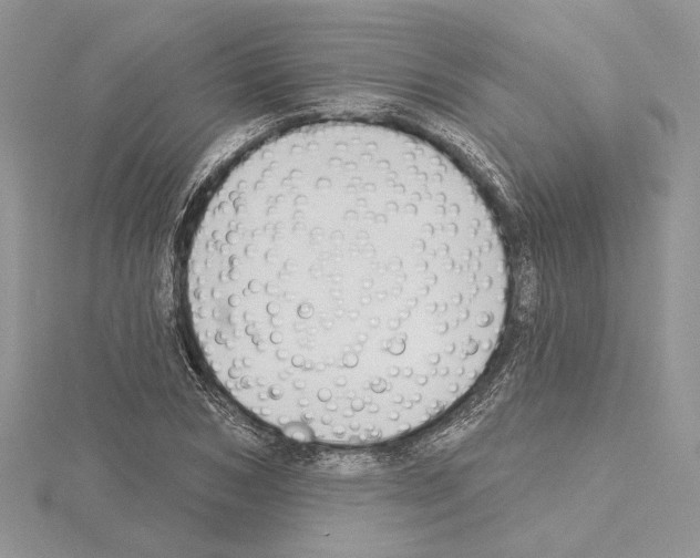 X0000114670978200912021050