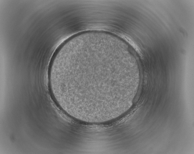 X0000114670980200912021050