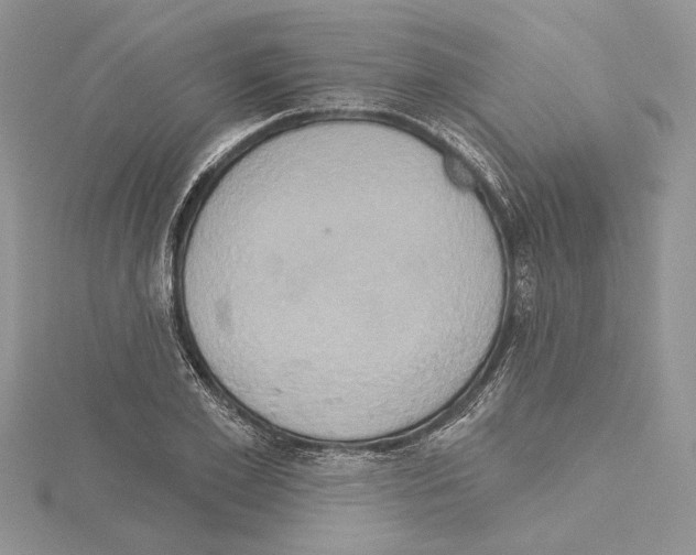 X0000114670981200912021050