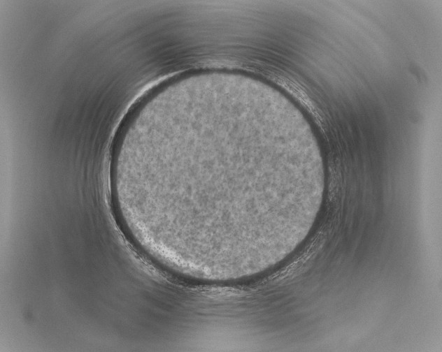 X0000114670984200912021050