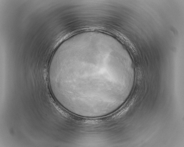 X0000114670985200912021050