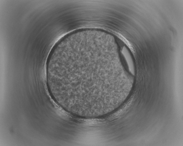 X0000114670988200912021050