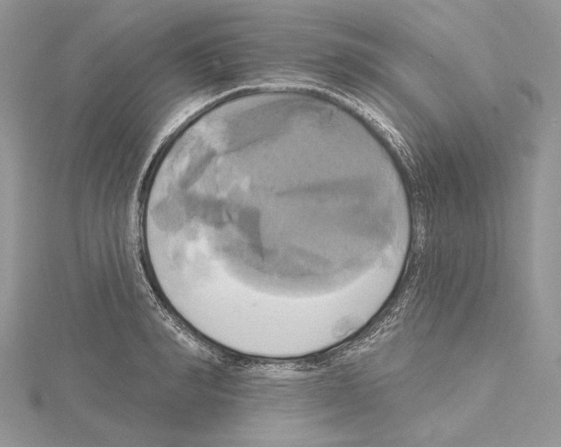 X0000114670990200912021049