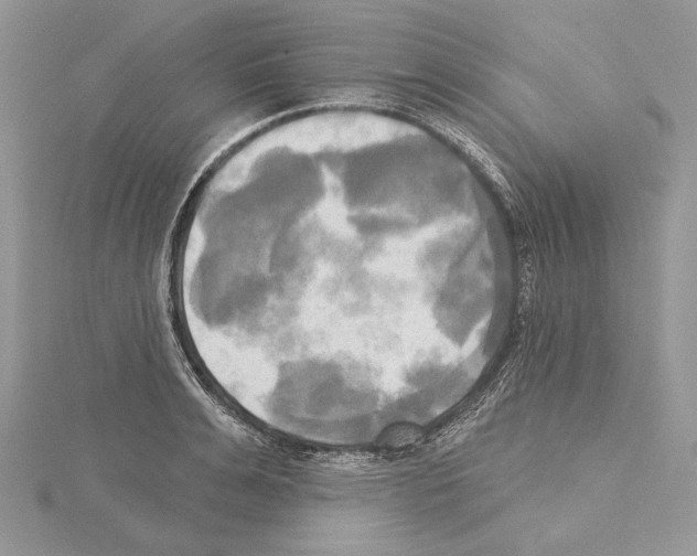 X0000114670991200912021049