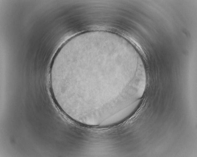 X0000114670992200912021049