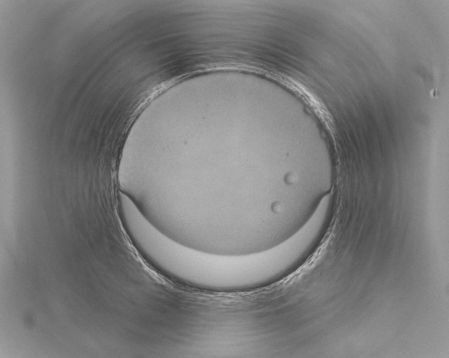 X0000114670993200912021049