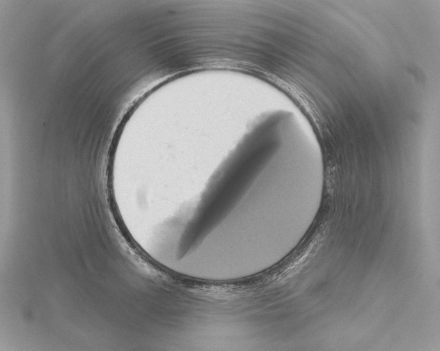 X0000114670995200912021049