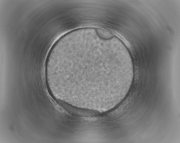 X0000114670996200912021049