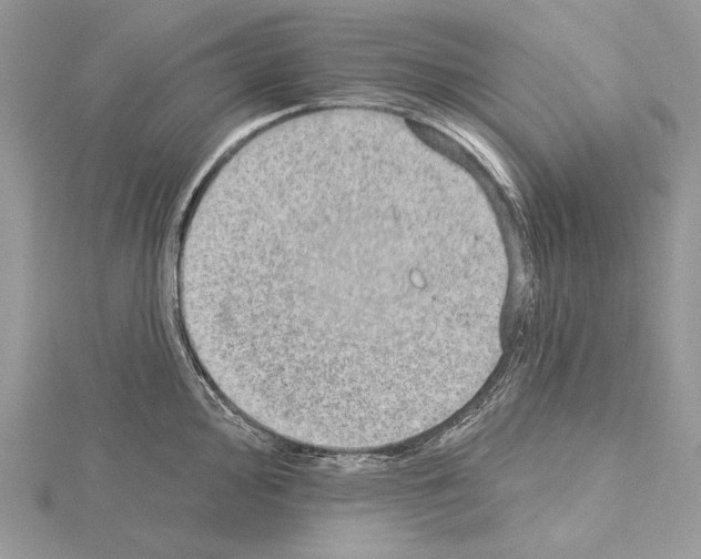 X0000114671000200912021049