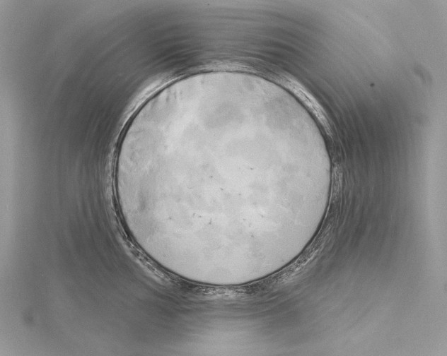 X0000114671002200912021049