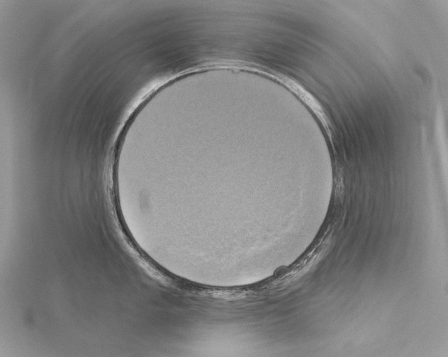 X0000114671005200912021049