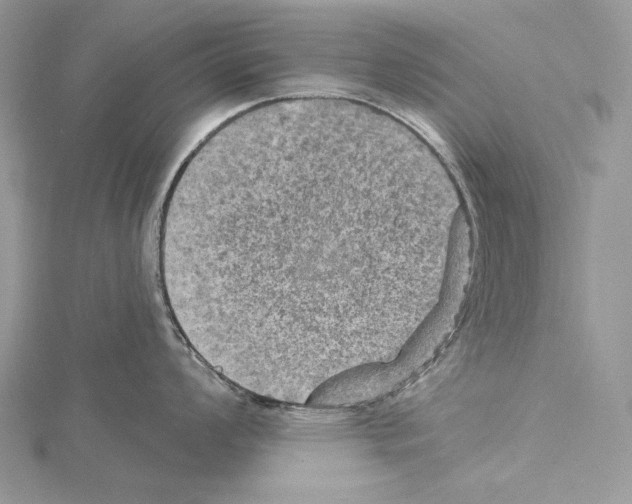 X0000114671008200912021049