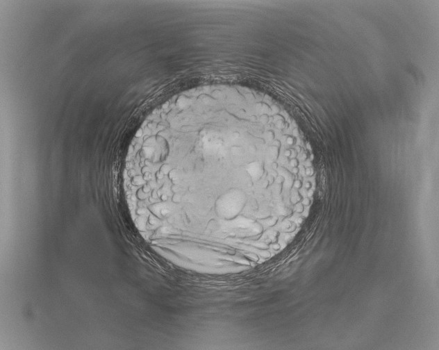 X0000114671010200912021049