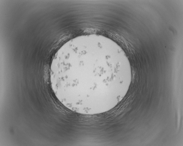 X0000114671012200912021049