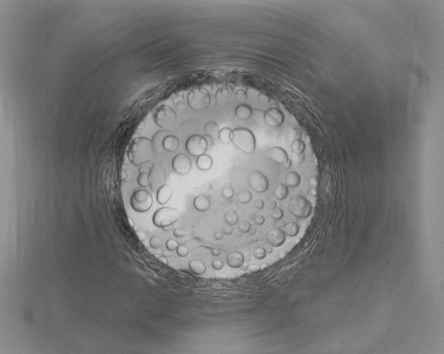 X0000114671014200912021049