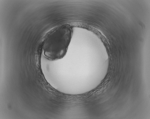 X0000114671016200912021049