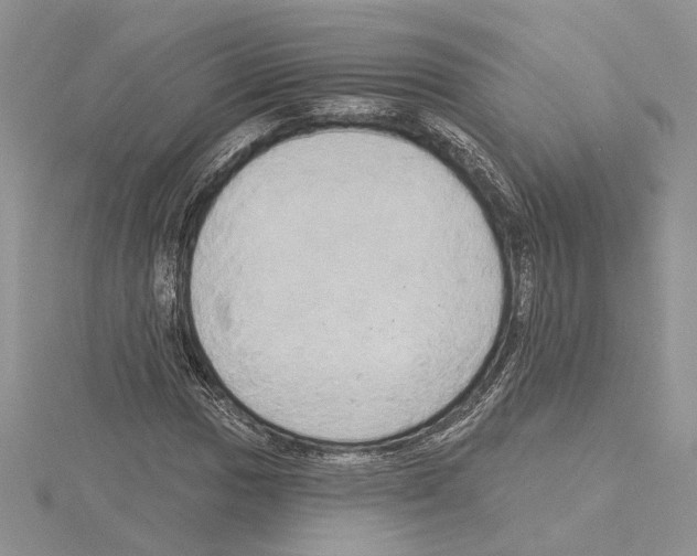 X0000114671017200912021049