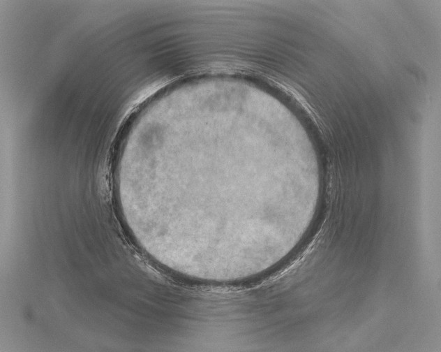 X0000114671018200912021049