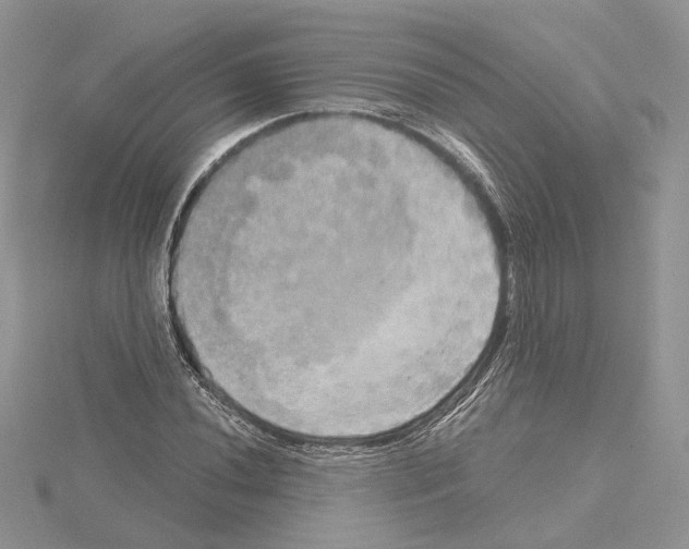 X0000114671020200912021049