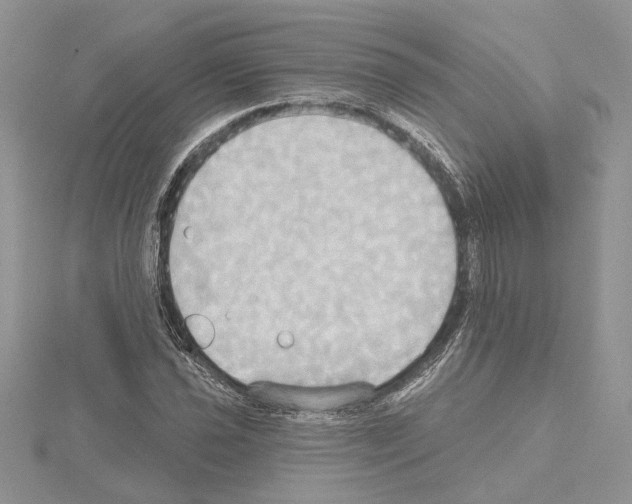 X0000114671021200912021049