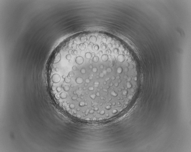 X0000114671022200912021049