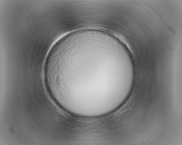 X0000114671024200912021049