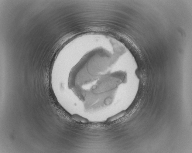 X0000114671025200912021049