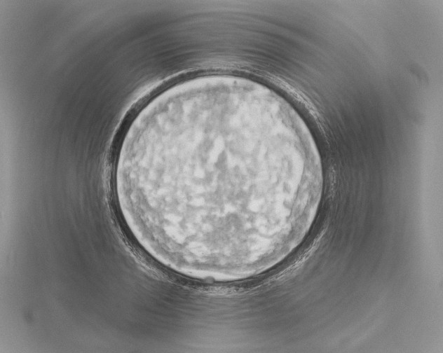 X0000114671029200912021049