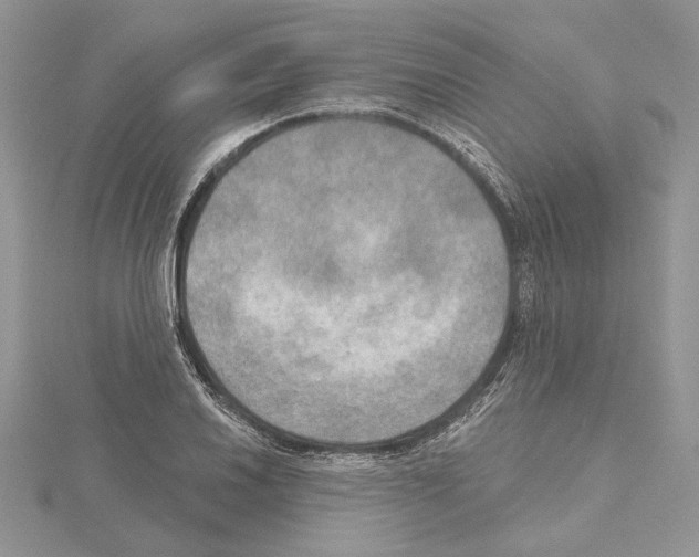 X0000114671030200912021049