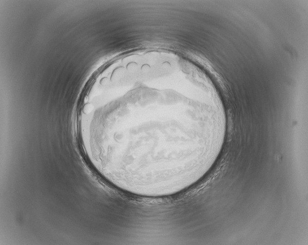 X0000114671032200912021049