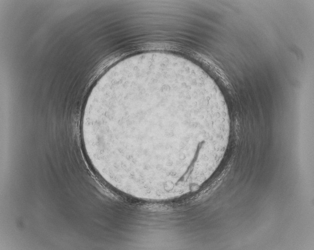 X0000114671033200912021049