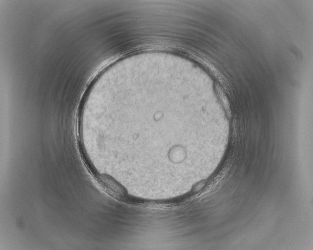 X0000114671034200912021049