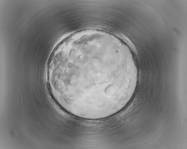 X0000114671036200912021049