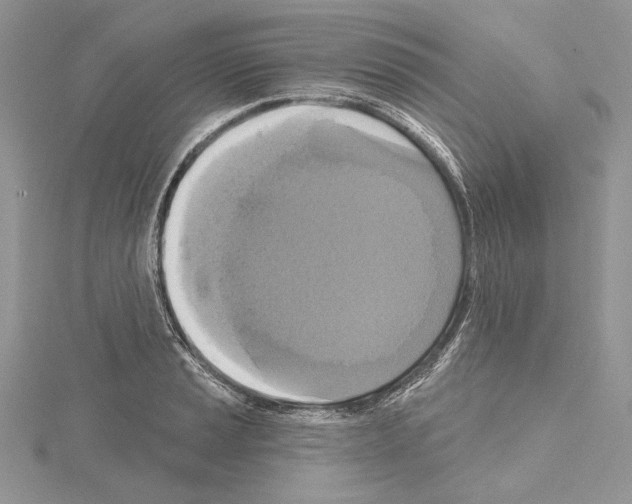 X0000114671037200912021049