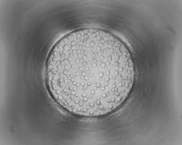 X0000114671040200912021049