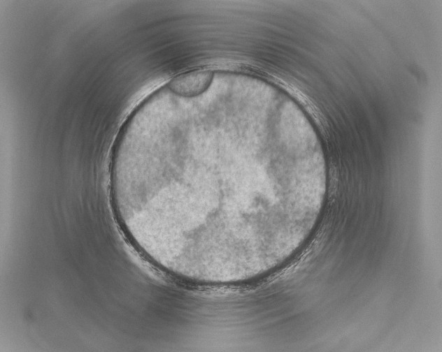 X0000114671042200912021049