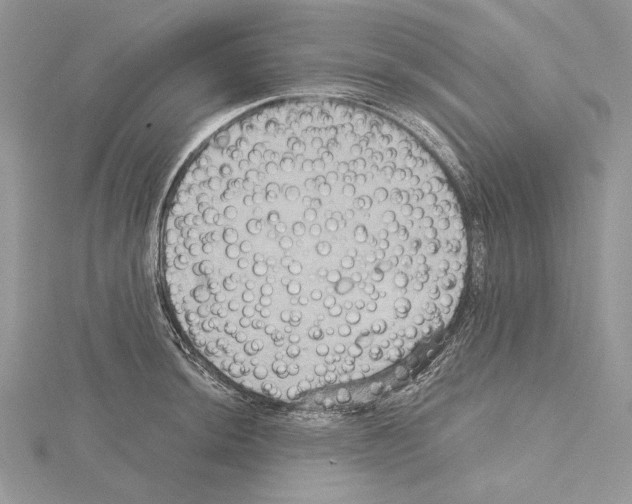 X0000114671044200912021049