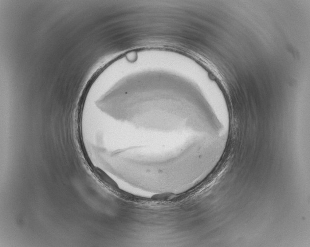 X0000114671045200912021049