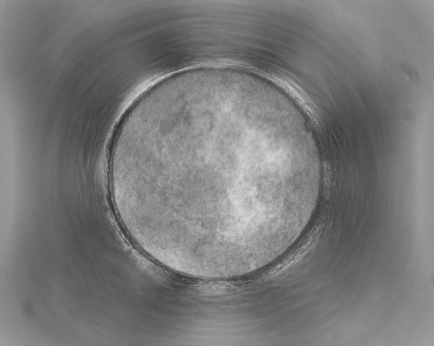 X0000114671046200912021049