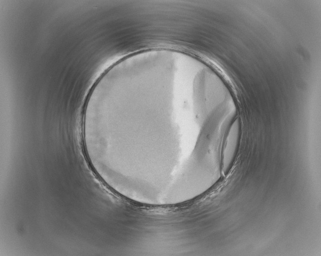 X0000114671048200912021049