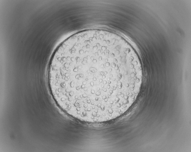 X0000114671053200912021049