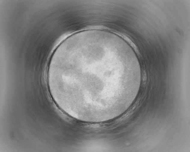 X0000114671054200912021049