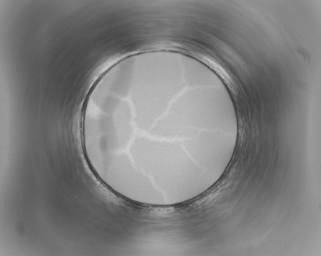 X0000114671055200912021049