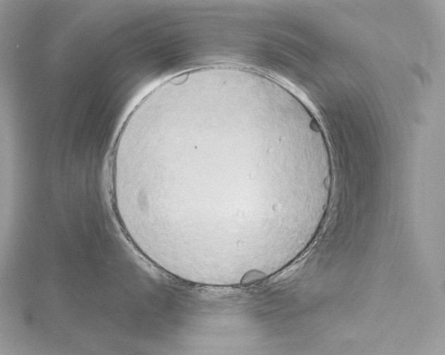 X0000114671056200912021049