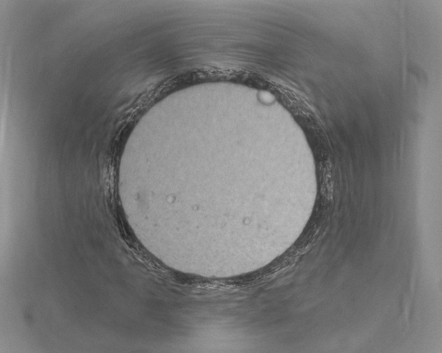 X0000114671061200912021049