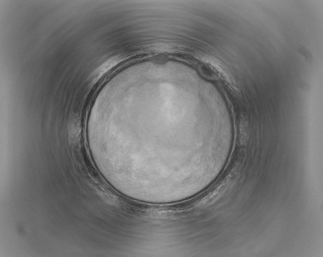 X0000114671065200912021049