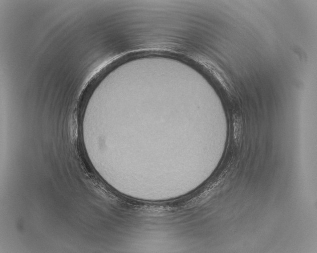 X0000114671069200912021048