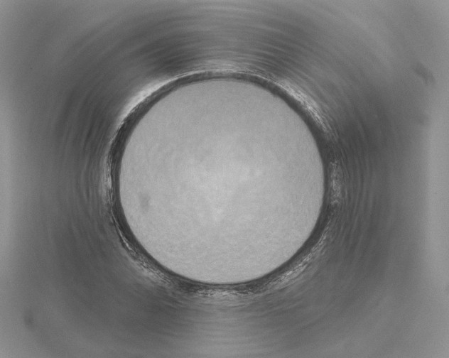 X0000114671070200912021048