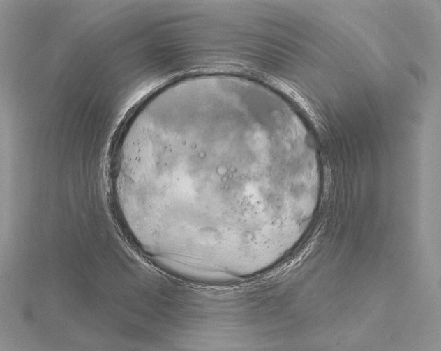 X0000114671071200912021048